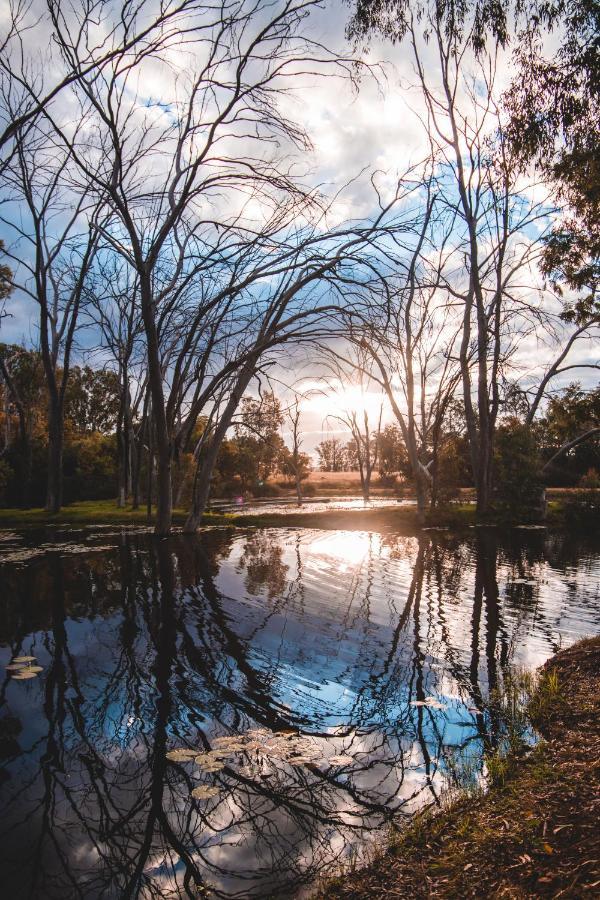 Bass Lake Country Lodge Pretoria-Noord Esterno foto