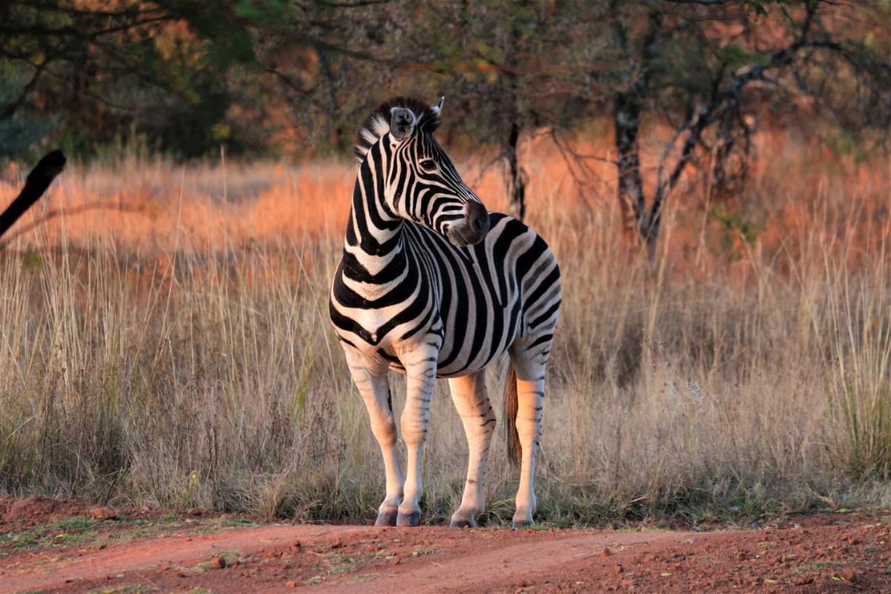 Bass Lake Country Lodge Pretoria-Noord Esterno foto